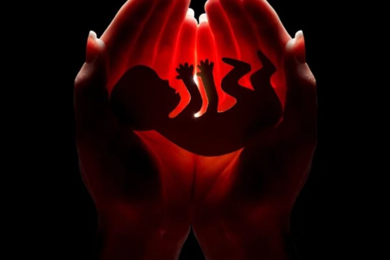 Aborto: É Sobre a Vida Humana (Somos Pró-Vida)